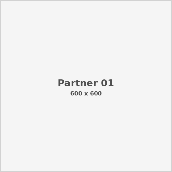 Partner 1